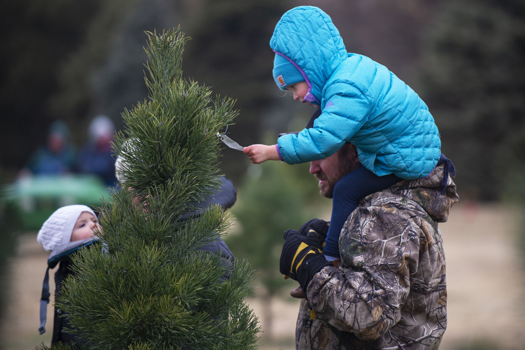 Christmas tree demand